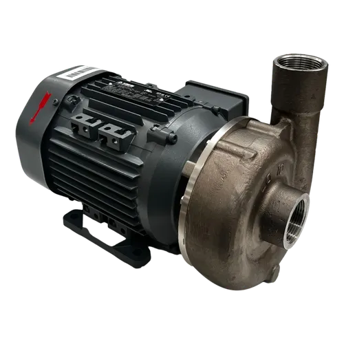 Pompe de nettoyage continu 1,1 kW